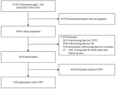 Dietary inflammatory index and all-cause mortality in adults with COPD: a prospective cohort study from the NHANES 1999–2018